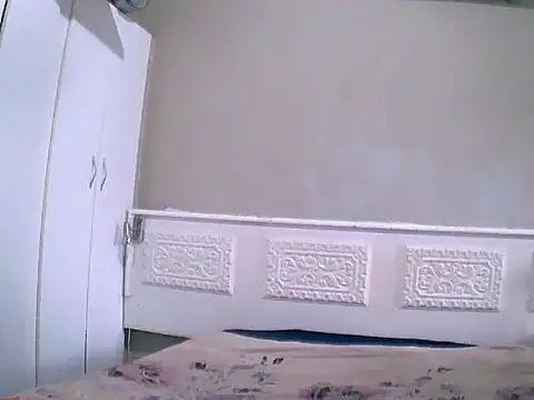 palmview2 online show from 2, 3, 2026