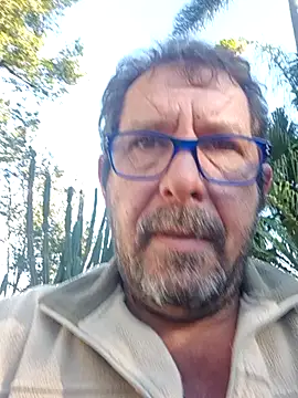 palmview2 online show from 29, 5, 2026