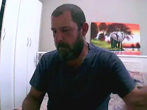 palmview2 online show from 1, 3, 2026