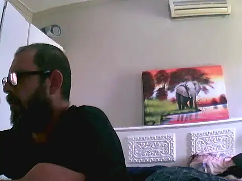 palmview2 online show from 6, 3, 2026