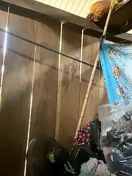 siorin 24 online show from 10, 1, 2026