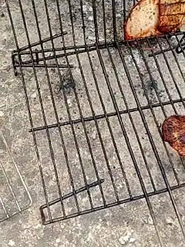 GanaderoMorboso online show from 12, 4, 2026