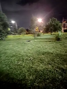 laperracobarde online show from 14, 1, 2026