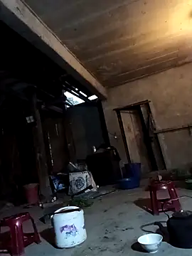 vesla-2k online show from 20, 4, 2026