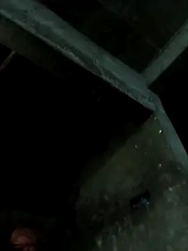 vesla-2k online show from 18, 3, 2026