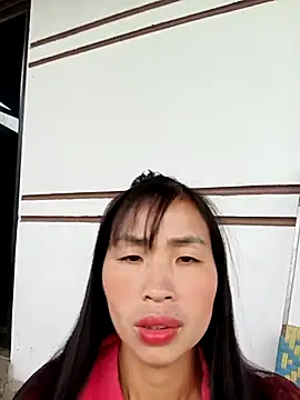 xiaogoal online show from 24, 4, 2026