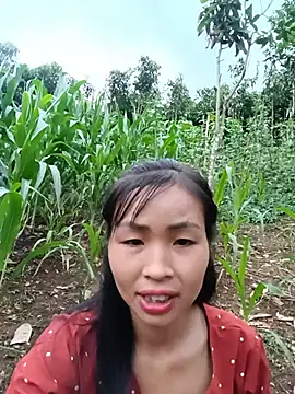 Snapshot of xiaogoal chatting on 20, 6, 2026 xiaogoal online show from 20, 6, 2026
