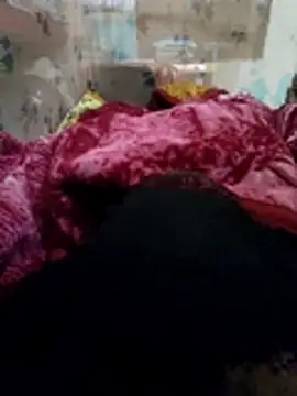 Pagelboy 089 online show from 20, 2, 2026