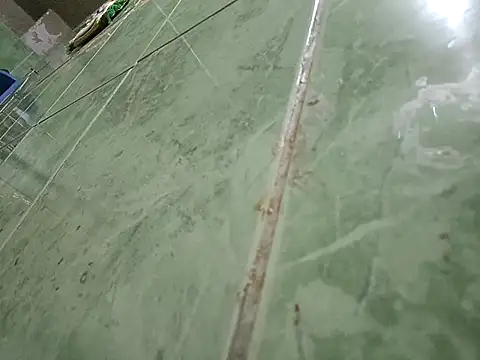 paladito01 online show from 7, 2, 2026