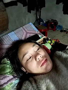 vanvan005 online show from 3, 2, 2026