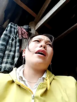 vanvan005 online show from 19, 1, 2026