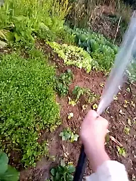 Happy sweet1 online show from 18, 1, 2026