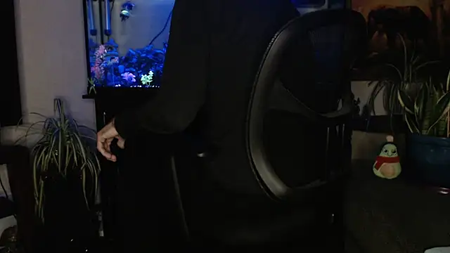 EspanolVato online show from 19, 4, 2026