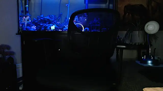 EspanolVato online show from 19, 3, 2026