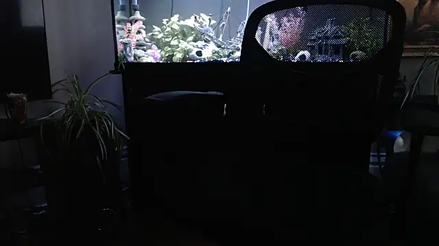 EspanolVato online show from 21, 3, 2026