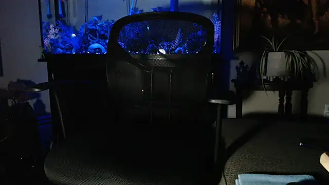 EspanolVato online show from 7, 2, 2026