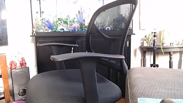 EspanolVato online show from 10, 2, 2026