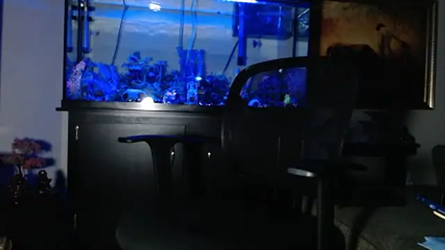 EspanolVato online show from 8, 1, 2026