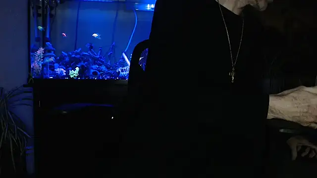 EspanolVato online show from 4, 4, 2026