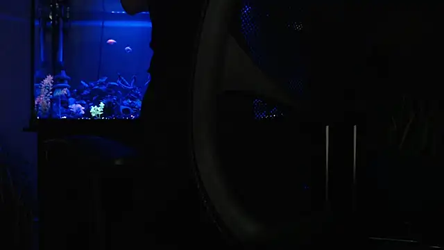 EspanolVato online show from 18, 4, 2026