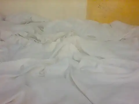 lebogangkat online show from 27, 2, 2026