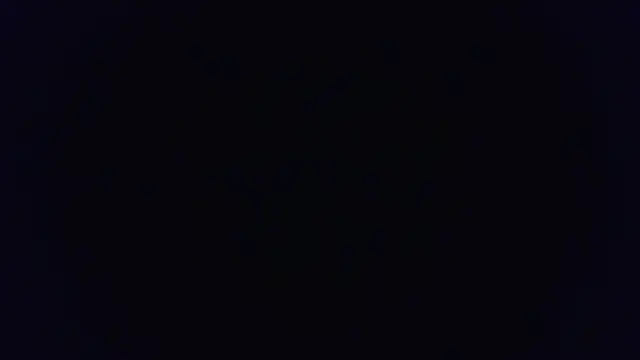 Snapshot of BotanicEntry1 chatting on 10, 4, 2026 BotanicEntry1 online show from 10, 4, 2026