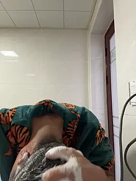 TOYOTA-01 online show from 7, 2, 2026