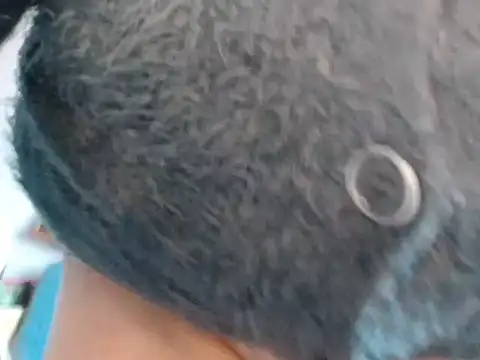 xmyriamx online show from 1, 3, 2026