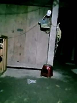 him220 online show from 31, 1, 2026