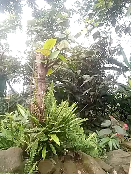 him220 online show from 2, 4, 2026