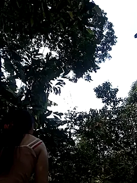 him220 online show from 2, 3, 2026