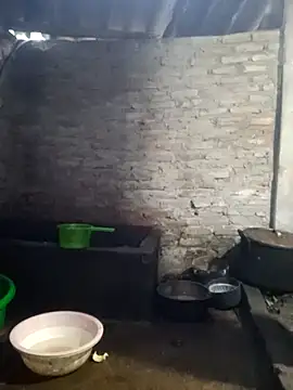 him220 online show from 20, 4, 2026