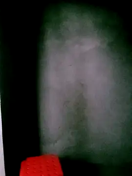 him220 online show from 8, 3, 2026