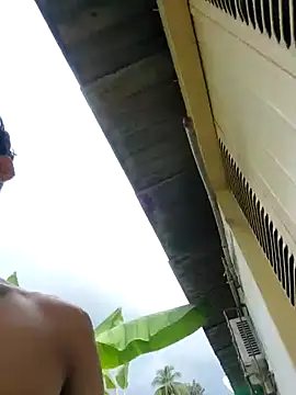 Wild and Sweets online show from 18, 1, 2026