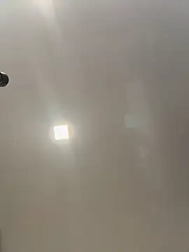 dani bela online show from 12, 2, 2026