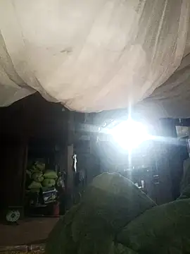 Piu 18 online show from 13, 1, 2026