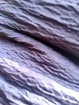 Queen chayna online show from 14, 1, 2026