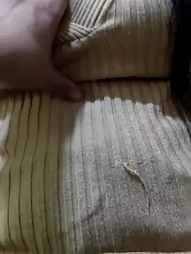 couple fun  online show from 8, 3, 2026