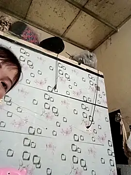 Sana-vn online show from 18, 4, 2026