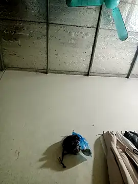 Sana-vn online show from 15, 1, 2026