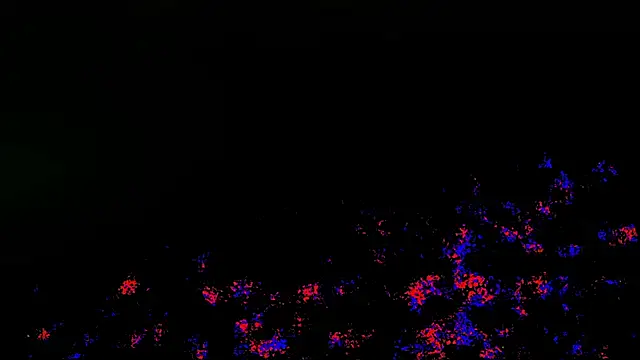 wolverinedream online show from 20, 4, 2026