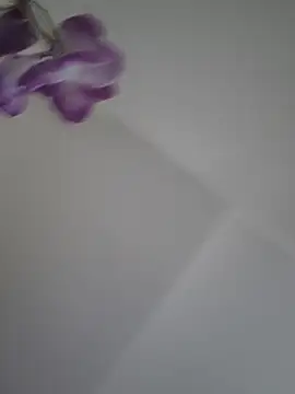 Snapshot of gisequeen chatting on 17, 6, 2026 gisequeen online show from 17, 6, 2026
