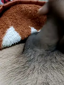  chota bunny  online show from 22, 2, 2026