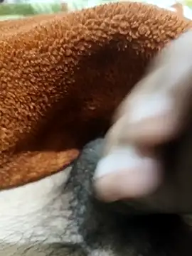  chota bunny  online show from 3, 2, 2026