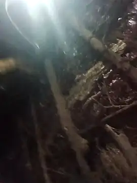 Manvi hote online show from 18, 1, 2026