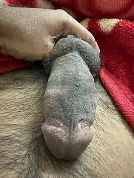 mdlaif1111 online show from 10, 1, 2026