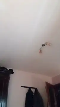 Der Schoene Penis online show from 11, 1, 2026