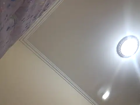 kitty pi online show from 1, 3, 2026