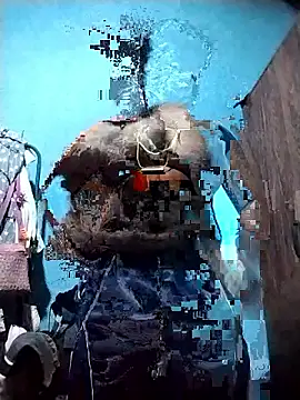 Danu2005dsa online show from 22, 3, 2026