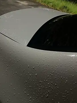 flavia337 online show from 24, 2, 2026